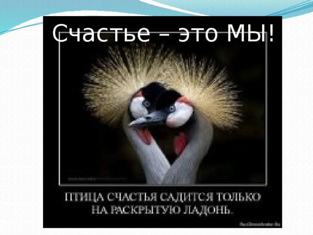Счастье – это МЫ! 