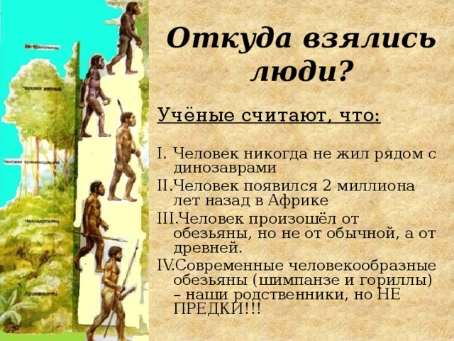 Откуда взялись люди? Учёные считают, что: Человек никогда не жил рядом с динозаврами Человек появился 2 миллиона лет назад в Африке Человек произошёл от обезьяны, но не от обычной, а от древней. Современные человекообразные обезьяны (шимпанзе и гориллы) – наши родственники, но НЕ ПРЕДКИ!!! 