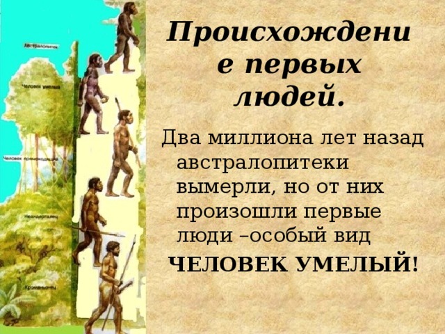 Происхождение первых людей. Два миллиона лет назад австралопитеки вымерли, но от них произошли первые люди –особый вид ЧЕЛОВЕК УМЕЛЫЙ! 