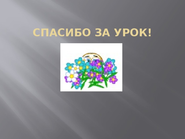 СПАСИБО ЗА УРОК!