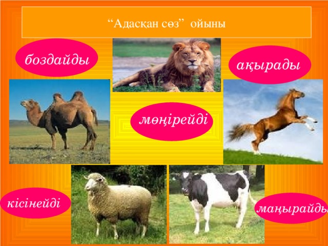 “ Адасқан сөз” ойыны боздайды ақырады мөңірейді кісінейді маңырайды 