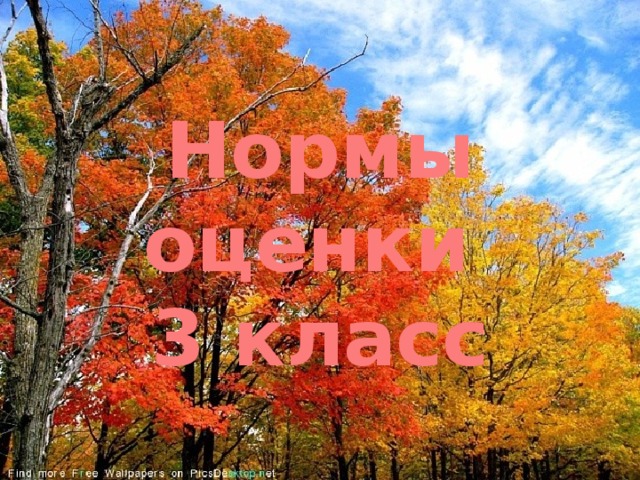 Нормы оценки  3 класс 