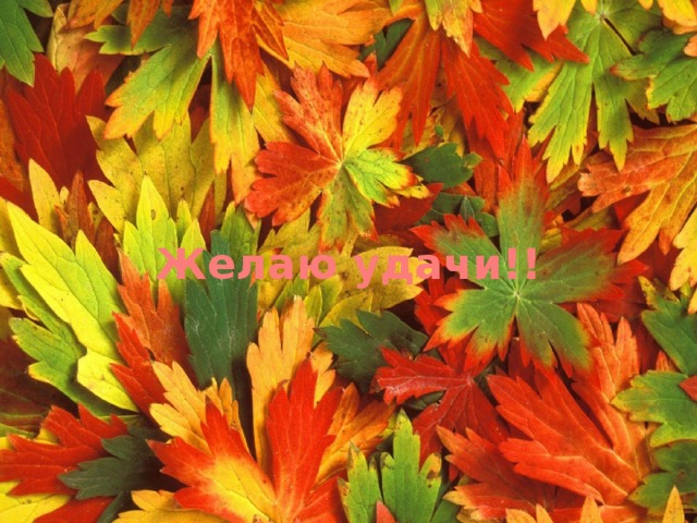 Желаю удачи!! 