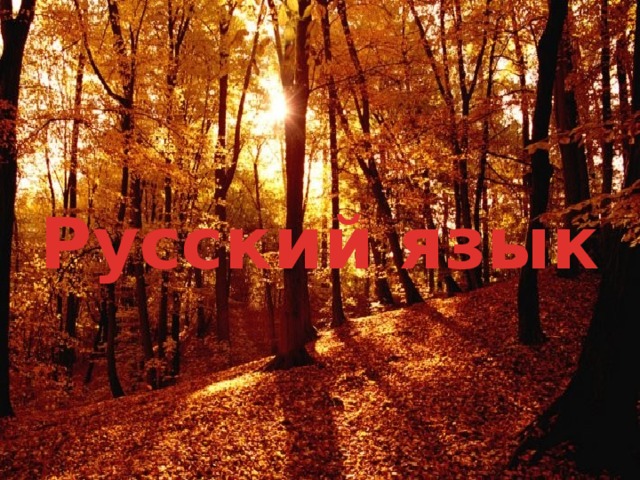 Русский язык 