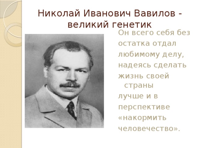 Вавилов николай иванович биография презентация