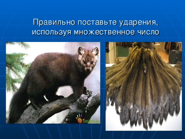 Правильно поставьте ударения, используя множественное число 