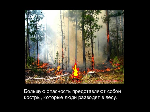 Большую опасность представляют собой костры, которые люди разводят в лесу. 