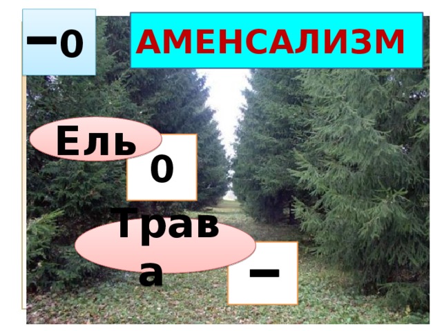 Пименов А.В.Задачи :Характеристика основных форм межвидовых