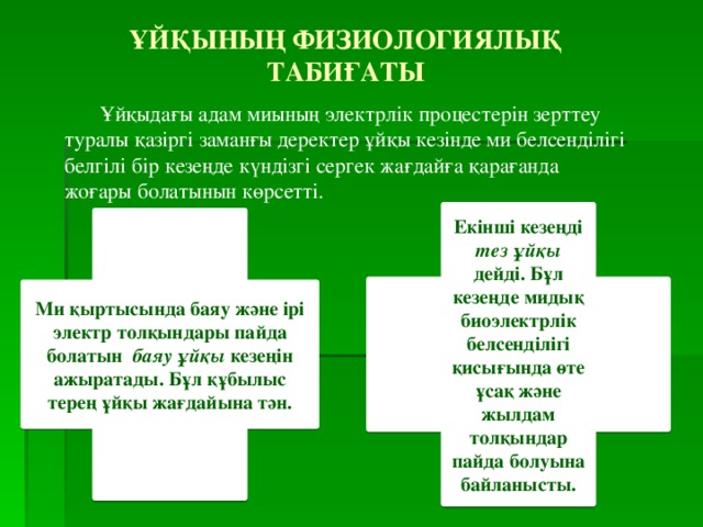 Ұйқының физиологиялық табиғаты  Ұйқыдағы адам миының электрлік процестерін зерттеу туралы қазіргі заманғы деректер ұйқы кезінде ми белсенділігі белгілі бір кезеңде күндізгі сергек жағдайға қарағанда жоғары болатынын көрсетті. Екінші кезеңді тез ұйқы дейді. Бұл кезеңде мидық биоэлектрлік белсенділігі қисығында өте ұсақ және жылдам толқындар пайда болуына байланысты. Ми қыртысында баяу және ірі электр толқындары пайда болатын баяу ұйқы кезеңін ажыратады. Бұл құбылыс терең ұйқы жағдайына тән. 