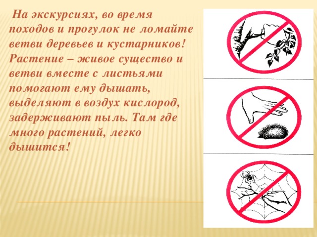 Знак Перечеркнутый Еж В Руках