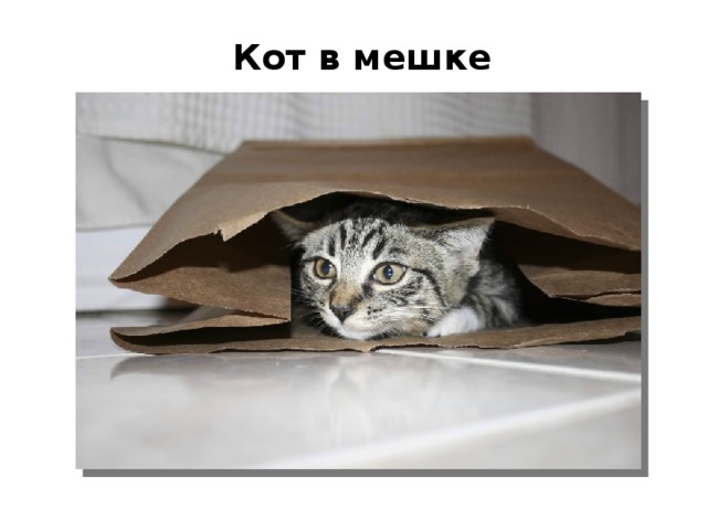 Кот в мешке 