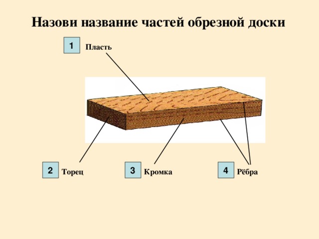 Назови название частей обрезной доски 1 Пласть 2 3 4 Торец Кромка Рёбра