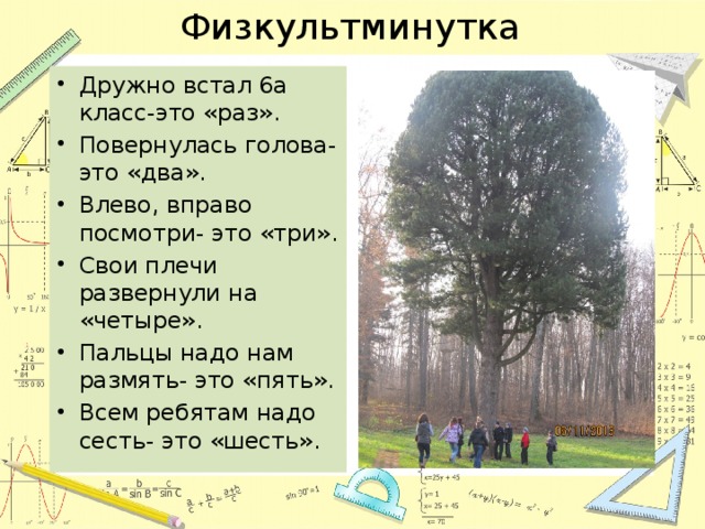 Физкультминутка Дружно встал 6а класс-это «раз». Повернулась голова- это «два». Влево, вправо посмотри- это «три». Свои плечи развернули на «четыре». Пальцы надо нам размять- это «пять». Всем ребятам надо сесть- это «шесть». 