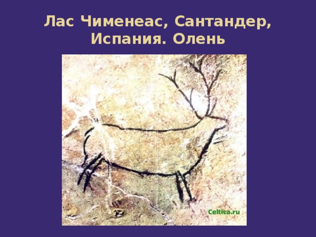 Лас Чименеас, Сантандер, Испания. Олень 