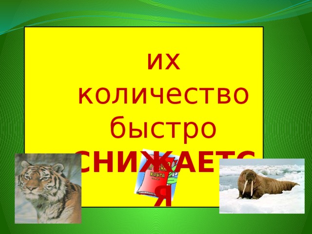 их количество быстро СНИЖАЕТСЯ 