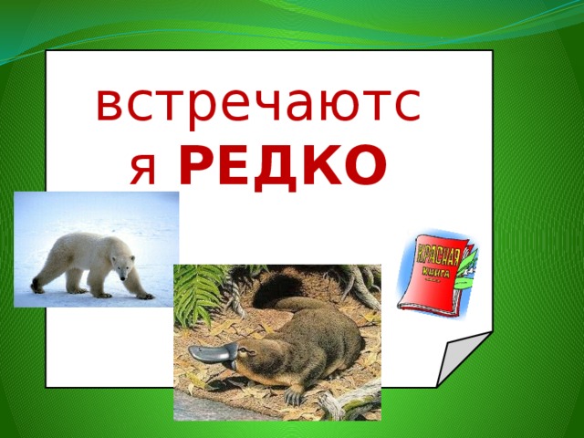 встречаются РЕДКО 