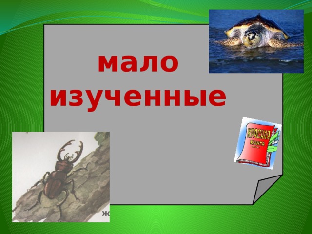 мало изученные 