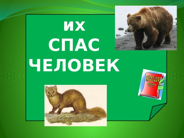 их СПАС ЧЕЛОВЕК 