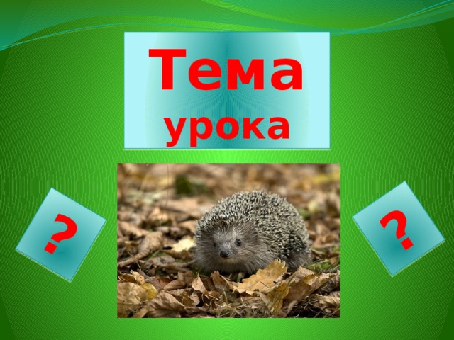 ? ? Тема урока 