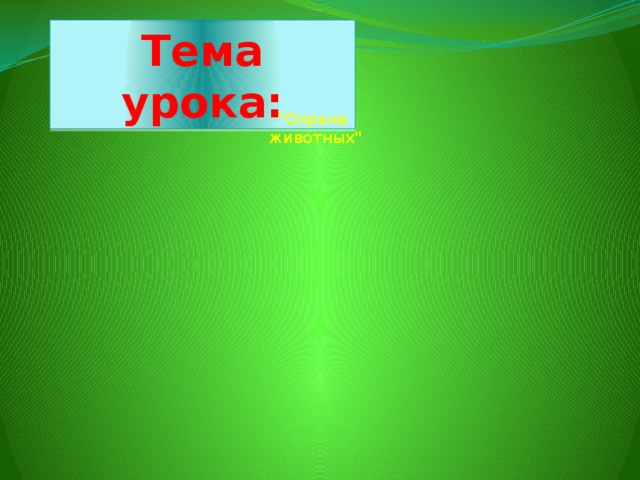 Тема урока: 