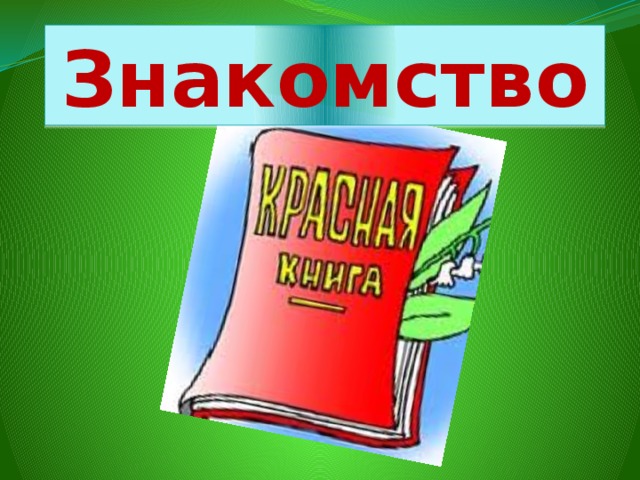Знакомство 