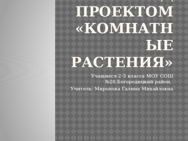 Работа над проектом «Комнатные растения» Учащиеся 2-3 класса МОУ СОШ №20,Богородицкий район, Учитель: Миронова Галина Михайловна