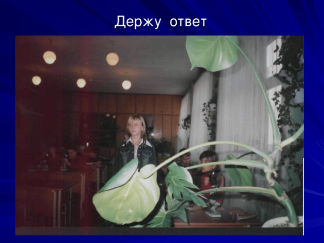Держу ответ 