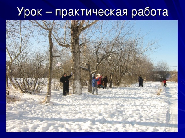 Урок – практическая работа 