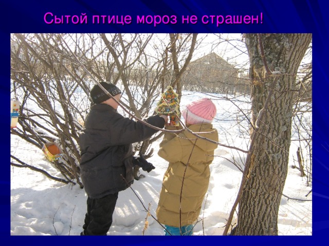 Сытой птице мороз не страшен! 