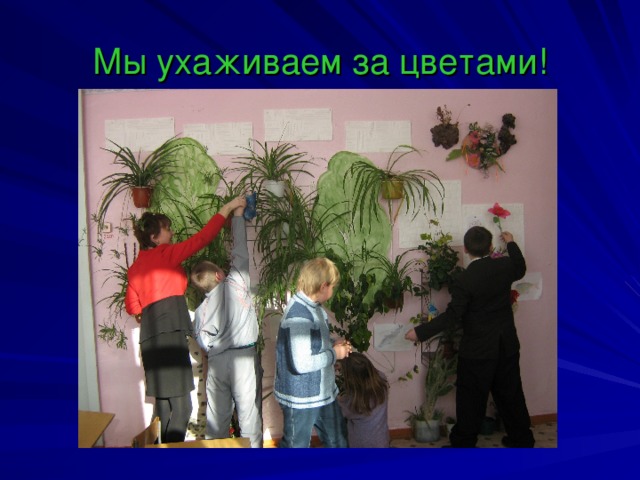 Мы ухаживаем за цветами! 