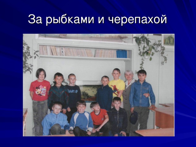 За рыбками и черепахой 