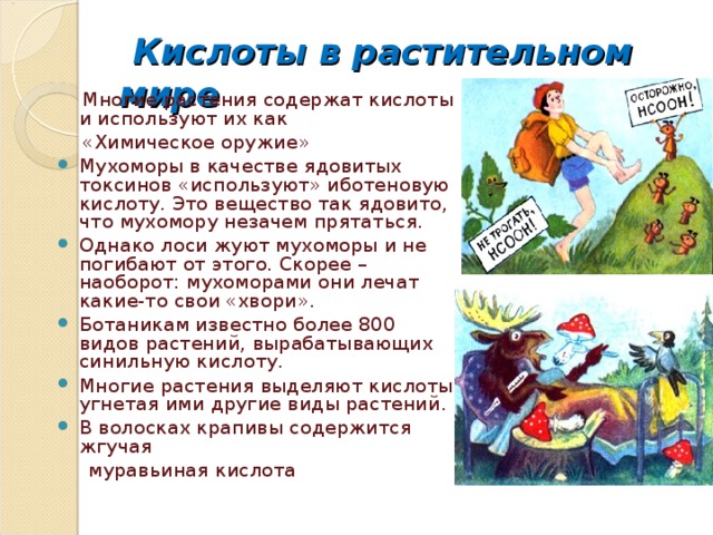  Кислоты в растительном мире  Многие растения содержат кислоты и используют их как  «Химическое оружие» Мухоморы в качестве ядовитых токсинов «используют» иботеновую кислоту. Это вещество так ядовито, что мухомору незачем прятаться. Однако лоси жуют мухоморы и не погибают от этого. Скорее – наоборот: мухоморами они лечат какие-то свои «хвори». Ботаникам известно более 800 видов растений, вырабатывающих синильную кислоту. Многие растения выделяют кислоты, угнетая ими другие виды растений. В волосках крапивы содержится жгучая  муравьиная кислота 