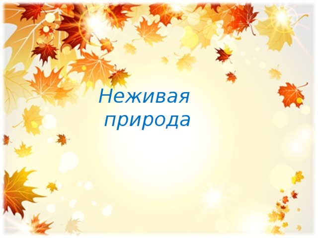 Неживая природа 