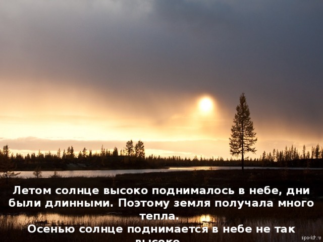 Летом солнце высоко поднималось в небе, дни были длинными. Поэтому земля получала много тепла. Осенью солнце поднимается в небе не так высоко, дни становятся короче, чем летом. Поэтому похолодало. 