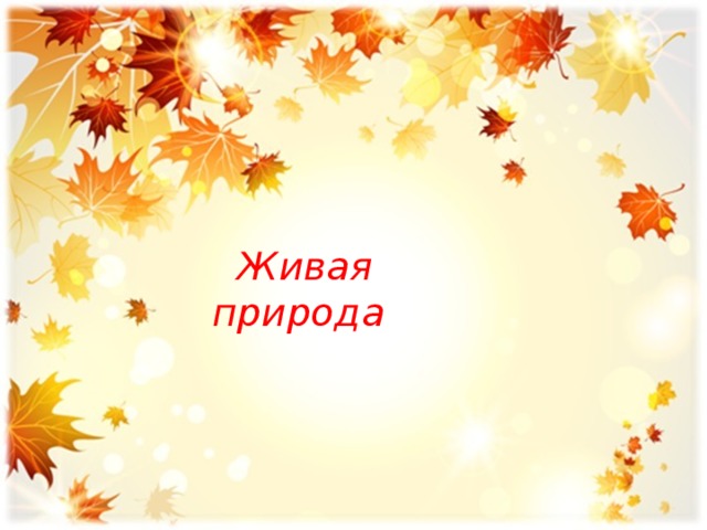  Живая природа 