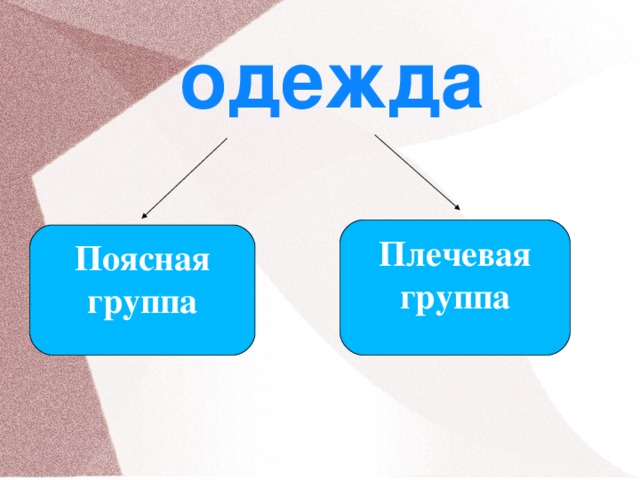 одежда Плечевая группа Поясная группа
