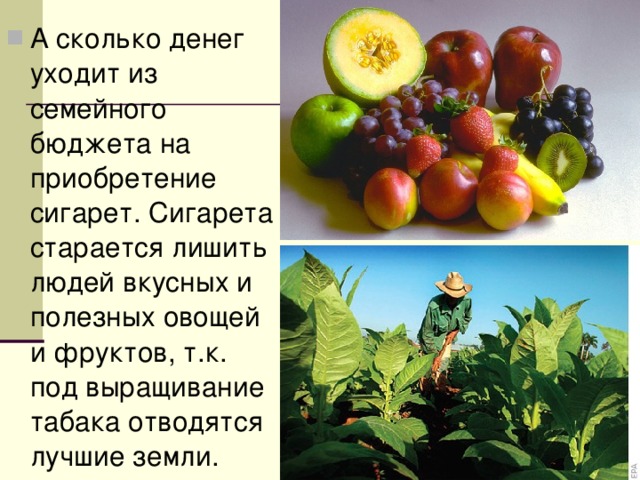 А сколько денег уходит из семейного бюджета на приобретение сигарет. Сигарета старается лишить людей вкусных и полезных овощей и фруктов, т.к. под выращивание табака отводятся лучшие земли. 