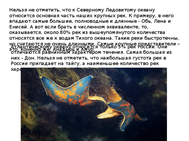 Нельзя не отметить, что к Северному Ледовитому океану относится основная часть наших крупных рек. К примеру, в него впадают самые большие, полноводные и длинные - Обь, Лена и Енисей. А вот если брать в численном эквиваленте, то, оказывается, около 80% рек из вышеупомянутого количества относятся все же к водам Тихого океана. Такие реки быстротечны, но считаются не очень длинными. Самые крупные представители – это, конечно же, Анадырь и Амур. Атлантическому океану относится только 5% рек России. Они отличаются равнинным характером течения. Самая большая из них - Дон. Нельзя не отметить, что наибольшая густота рек в России припадает на тайгу, а наименьшее количество рек характерно для Прикаспийской низменности. 