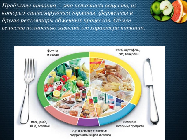 Продукты питания – это источники веществ, из которых синтезируются гормоны, ферменты и другие регуляторы обменных процессов. Обмен веществ полностью зависит от характера питания.
