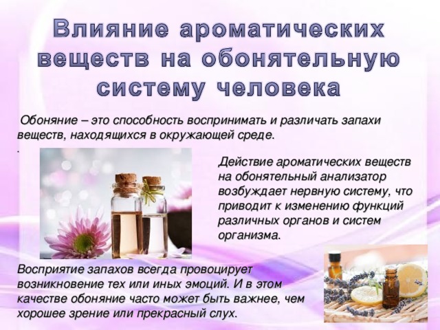 Ароматерапия влияние на организм проект