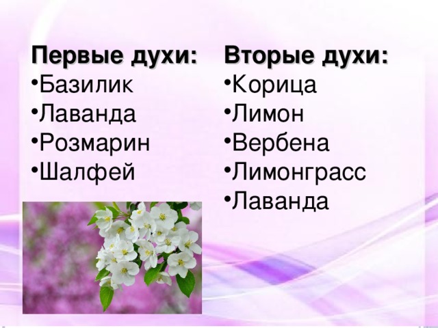 Первые духи:  Вторые духи: