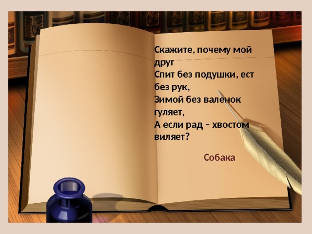 Скажите, почему мой друг  Спит без подушки, ест без рук,  Зимой без валенок гуляет,  А если рад – хвостом виляет? Собака 