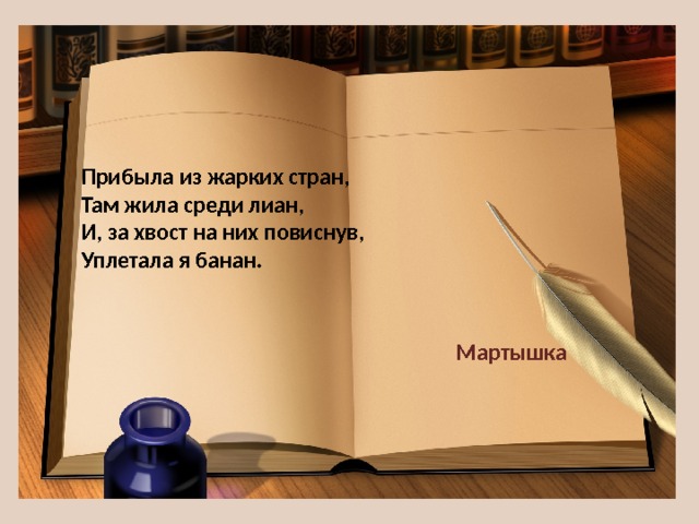 Прибыла из жарких стран,  Там жила среди лиан,  И, за хвост на них повиснув,  Уплетала я банан. Мартышка 