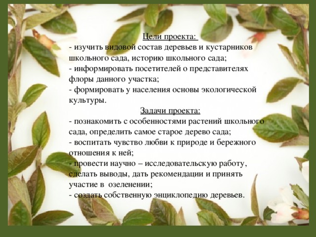 Цели проекта: - изучить видовой состав деревьев и кустарников школьного сада, историю школьного сада; - информировать посетителей о представителях флоры данного участка; - формировать у населения основы экологической культуры. Задачи проекта: - познакомить с особенностями растений школьного сада, определить самое старое дерево сада; - воспитать чувство любви к природе и бережного отношения к ней; - провести научно – исследовательскую работу, сделать выводы, дать рекомендации и принять участие в озеленении; - создать собственную энциклопедию деревьев.