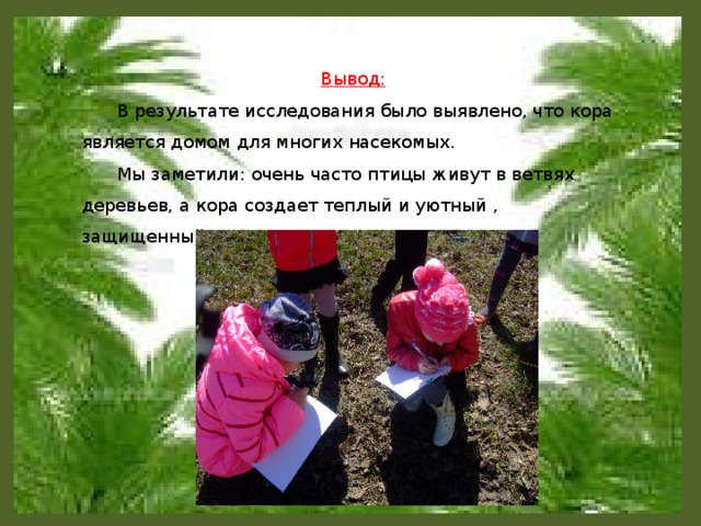 Вывод:  В результате исследования было выявлено, что кора является домом для многих насекомых.  Мы заметили: очень часто птицы живут в ветвях деревьев, а кора создает теплый и уютный , защищенный дом для насекомых.