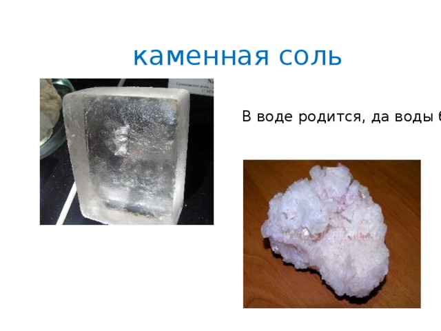 каменная соль В воде родится, да воды боится . 