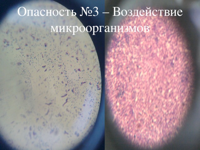Опасность №3 – Воздействие микроорганизмов 