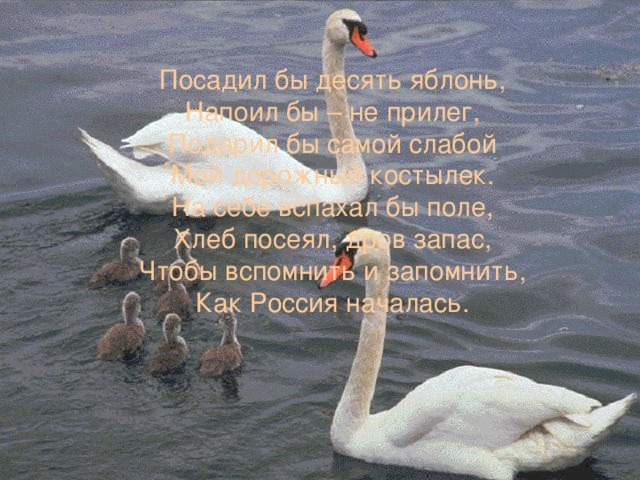 Посадил бы десять яблонь,  Напоил бы – не прилег,  Подарил бы самой слабой  Мой дорожный костылек.  На себе вспахал бы поле,  Хлеб посеял, дров запас,  Чтобы вспомнить и запомнить,  Как Россия началась. 