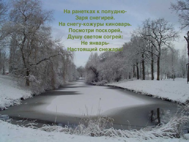 На ранетках к полудню-  Заря снегирей.  На снегу-кожуры киноварь.  Посмотри поскорей,  Душу светом согрей:  Не январь-  Настоящий снежарь! 