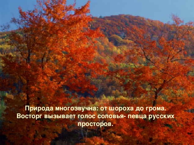 Природа многозвучна: от шороха до грома.  Восторг вызывает голос соловья- певца русских просторов. 
